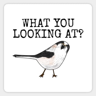 What You Looking At? Long-Tailed Tit Bird Watcher Funny Magnet